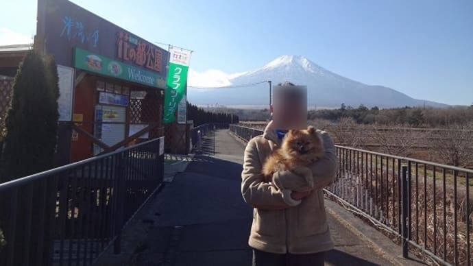 山中湖花の都公園