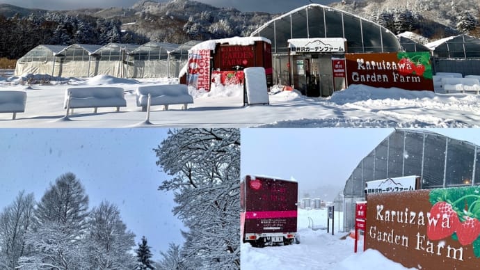 #雪用タイヤ