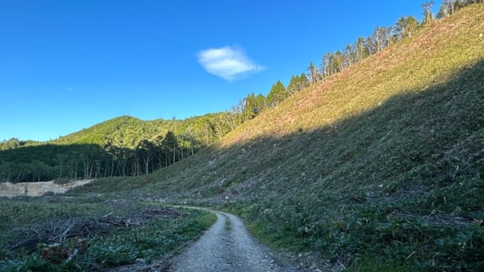 偽りの看板