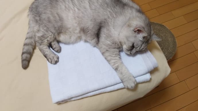 それはきっと不治の病