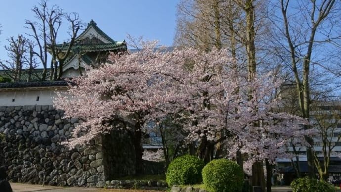 富山旅行・富山城址公園