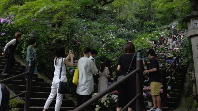 20210626 奈良長谷寺本山 05 Fujifilm-Digtal Camera X100T