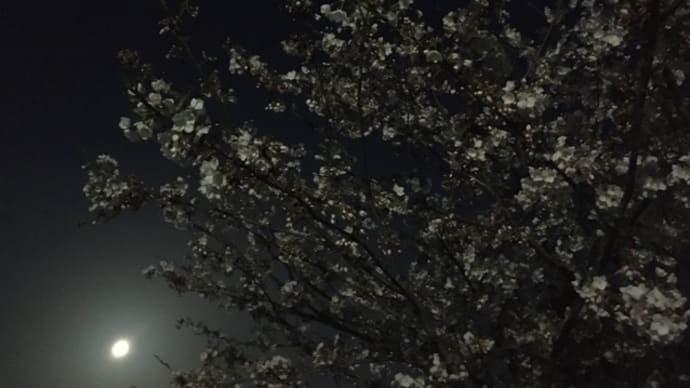 ミーティングツーリング⭐︎