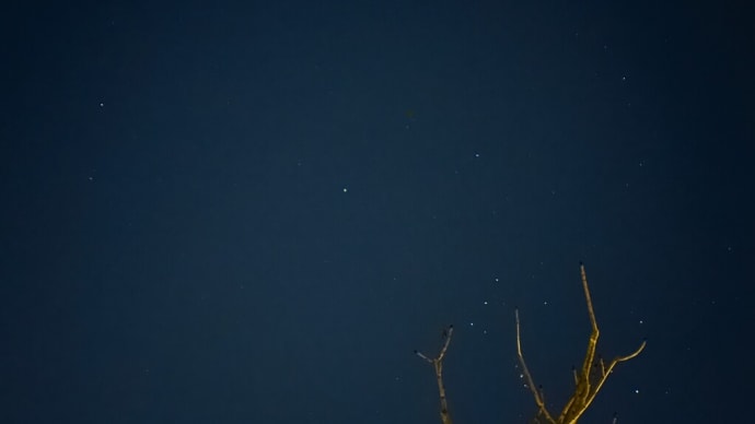 星がきれいな夜の黒猫ダブル