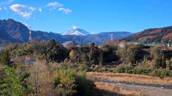 下仁田ネギとヒメツルソバ・・・