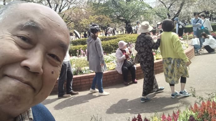 お薦め散歩4月13日(土) 新宿御苑