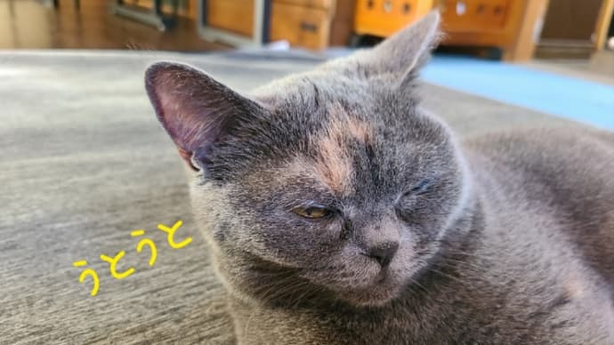 うとうと