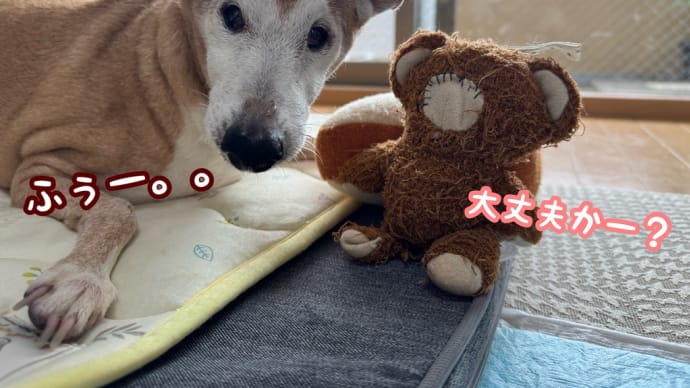 ちょっと不調です。。。