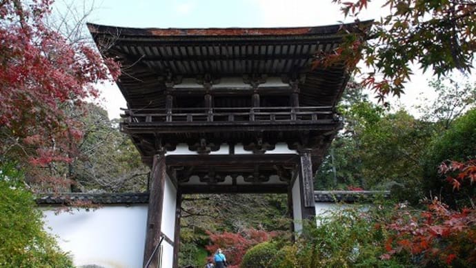 長岳寺の紅葉