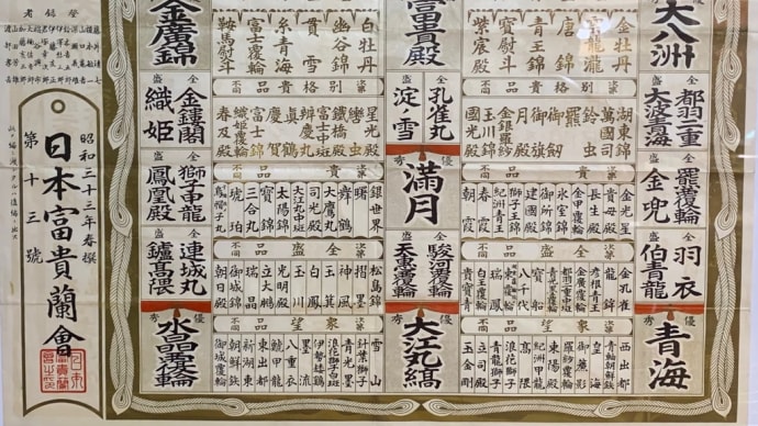 富貴蘭銘鑑 第13号 (125品種、1958年春)