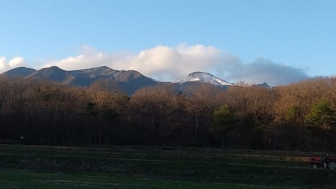 椎茸栽培キット
