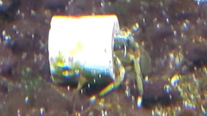 ヤドカリの宿探し(j 7.9km)