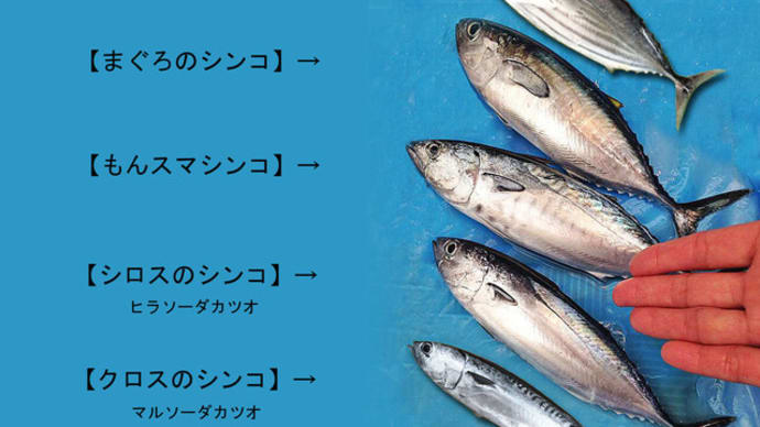 食材違い板　～　シンコの５種魚