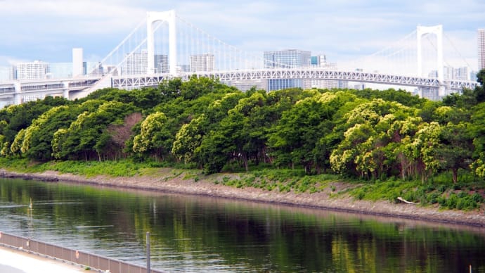 東京五輪会場はこちらです。　Part.1