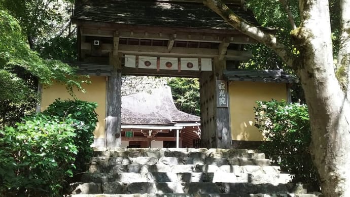 4897-4899首目・・・南山城・大原行(その3)
