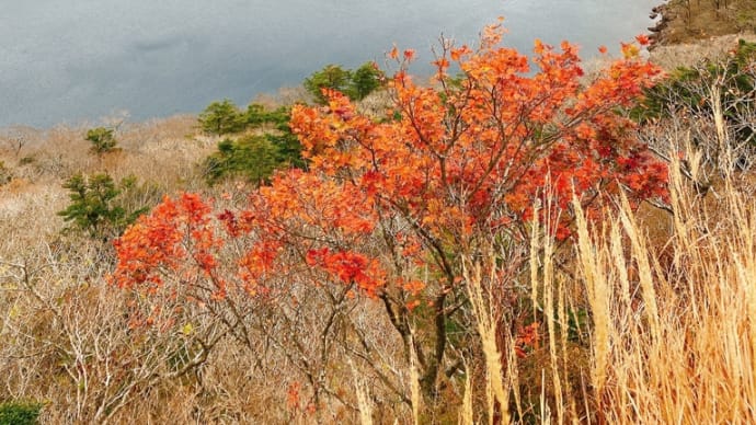 紅葉は終わってる登山☆笑