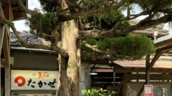 川棚温泉名物を~たかせ 川棚本館~