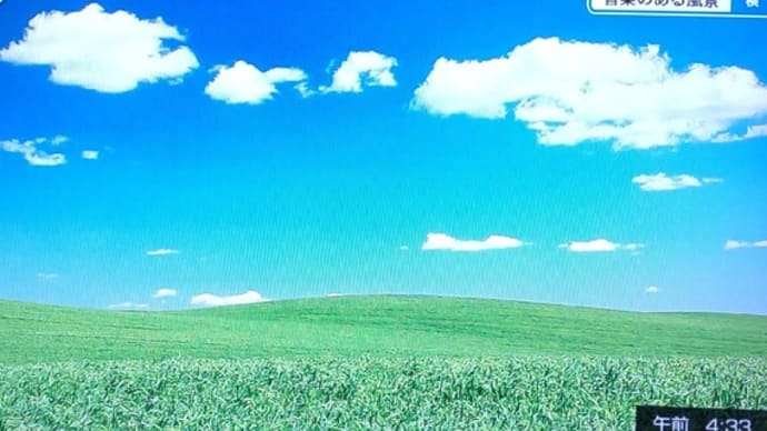 どこまでも 広い草原