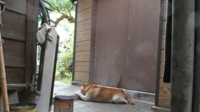 ふて寝 なんで~!?