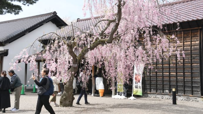 連休ドライブ道南の旅 その4…函館奉行所編