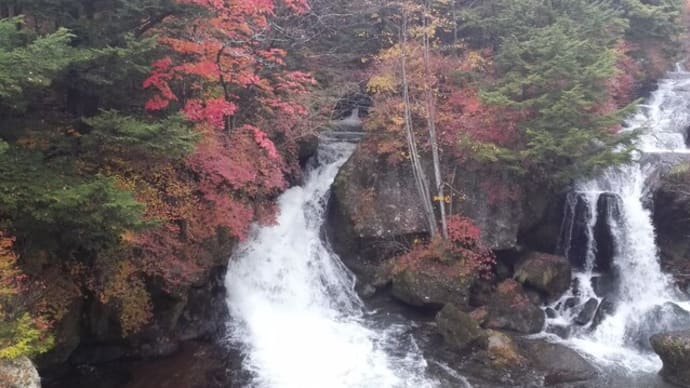 紅葉の季節になって思うこと