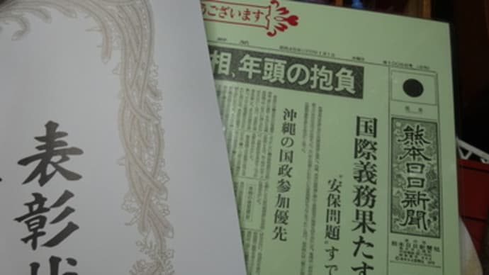 金婚夫婦表彰式着物コーデ