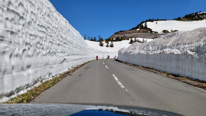 雪の回廊2025 志賀高原