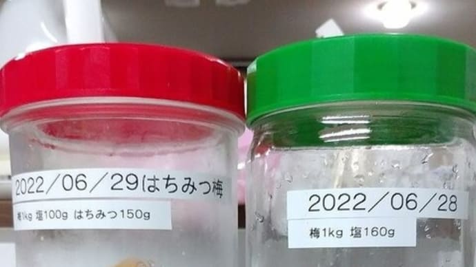 今年の梅 追記 追記2