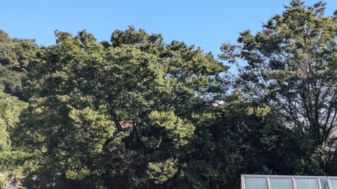 今日の空に向かって✨