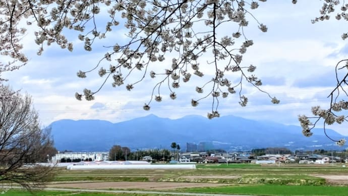 今日いち-2025年4月6日