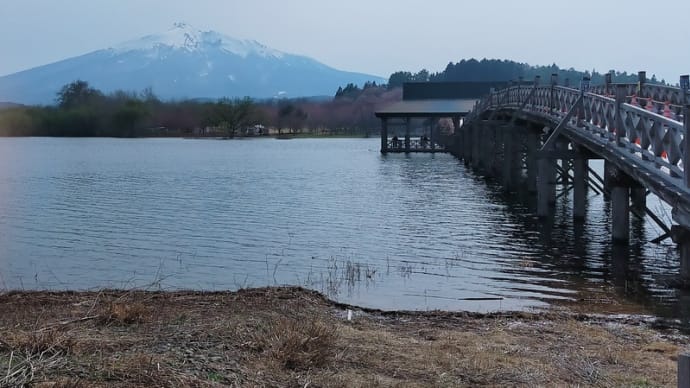 富士見湖パークの風景と梅