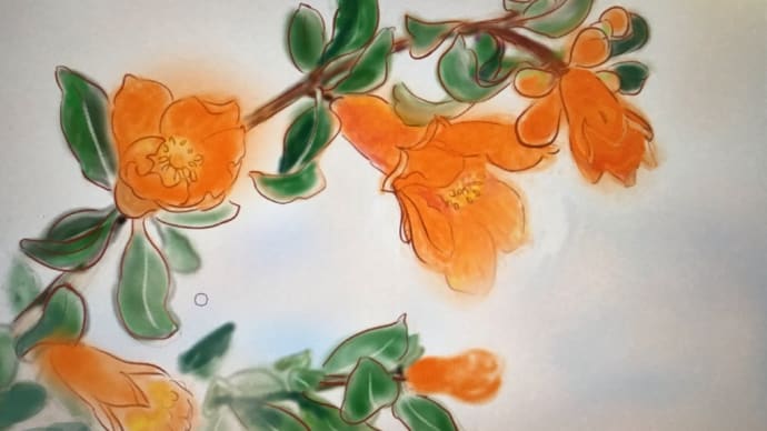 柘榴の花