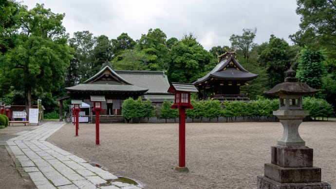 権現堂公園訪問後の神社探索