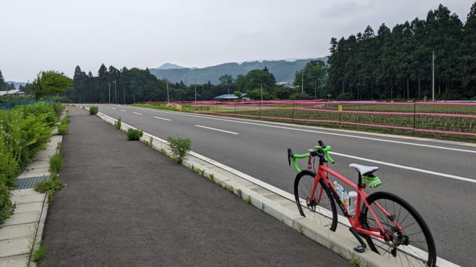 突然の再会 SNSって凄い