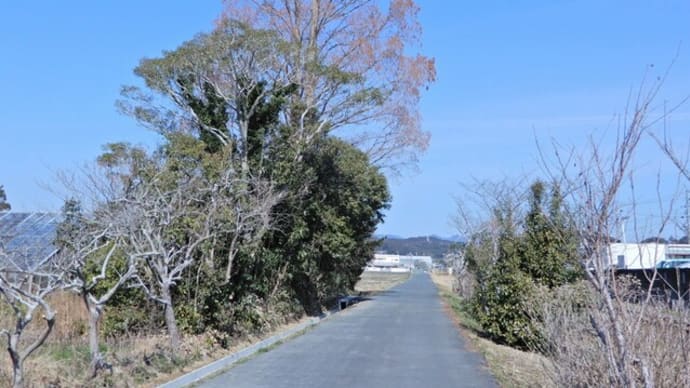 帰り路のポタリング