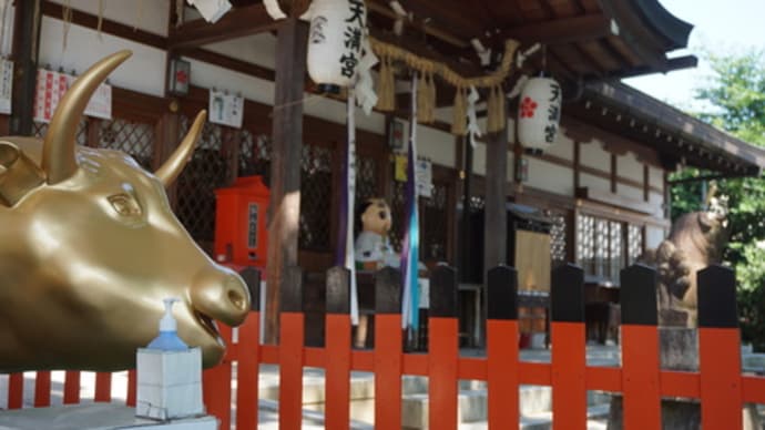 大きな金色の撫で牛がいる、菅原道真所縁の「吉祥院天満宮」。「北野天満宮」より古い創建といわれる天満宮