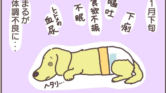 絵日記:最近のまる。