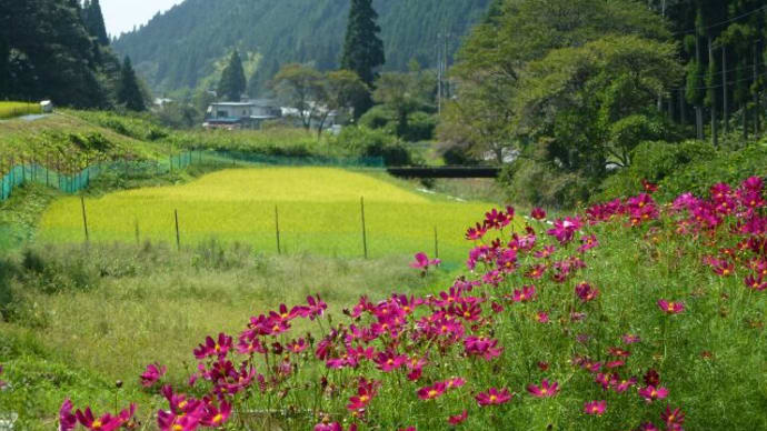 “ガーミン”と旅する秋晴れの伊王野路