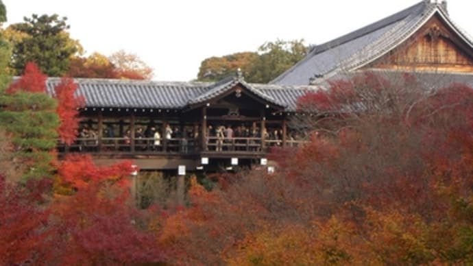 東福寺の紅葉（その１）
