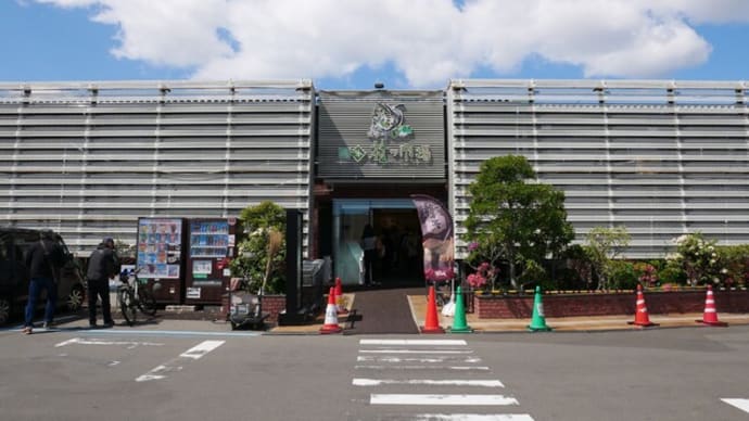 楽しい仙台場外市場*杜の市場