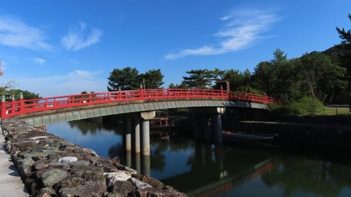 観流橋からサギたちを見る~宇治川散歩2023/9中旬(2)