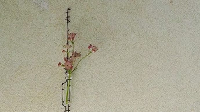 新作アイアン花器と桃
