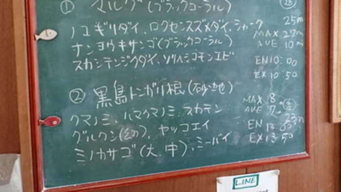 本日のダイビングログ