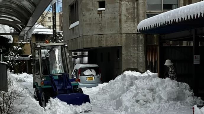 ようやく大雪の峠越したか?春の限定酒入荷!