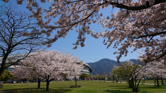今日もお天気でした