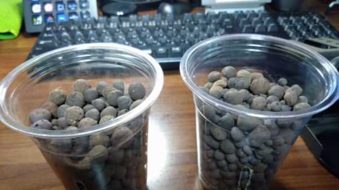 水耕栽培の容器を作ってみた・・・・・。('◇')ゞ