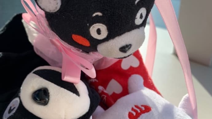 ❤️①ダイアモンド富士第一回撮影成功2022/2/26❤️