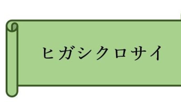 アフリカのサバンナ<ヒガシクロサイ>No9