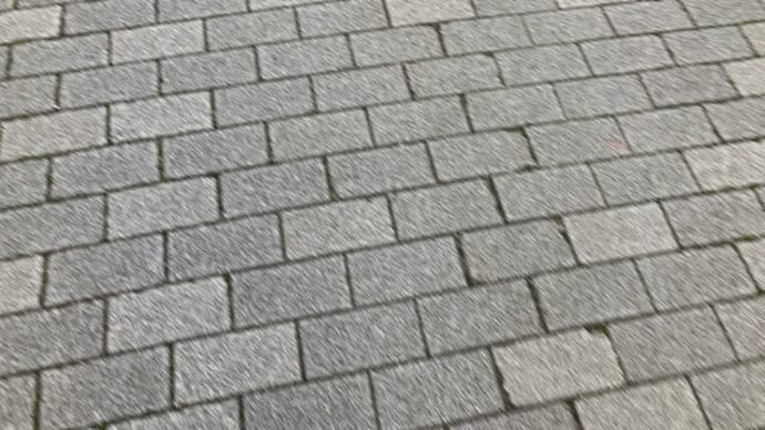 職質された話