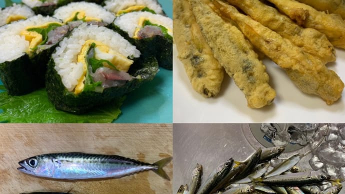 6/11(日)【北条湾釣行】ネンブツダイを食べる釣りのお供のキジトラ猫